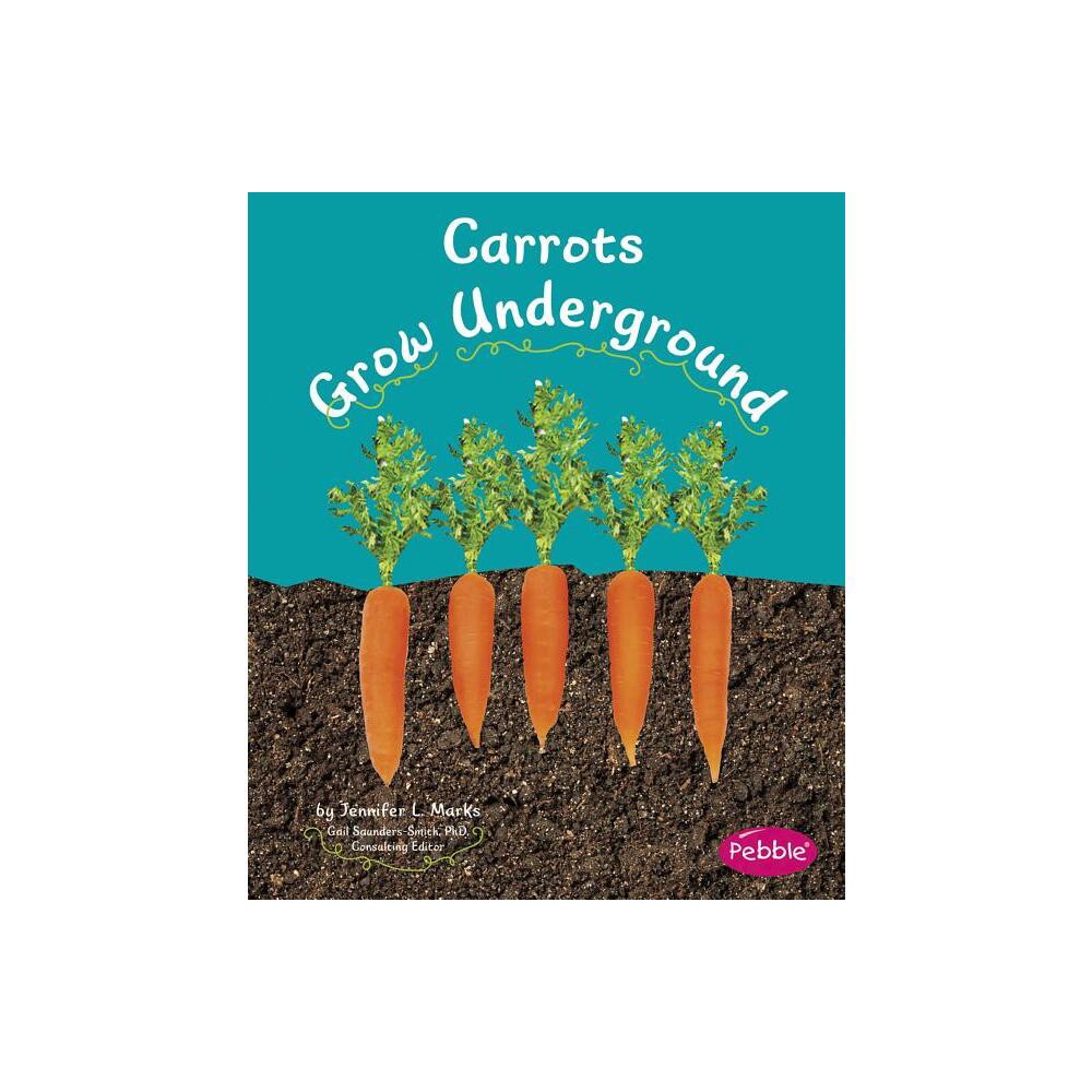 Carrots Grow Underground - (How Fruits and Vegetables Grow) by Mari Schuh (Paperback)