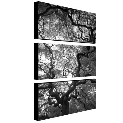 Trademark Fine Art -CATeyes 'Speaking' Canvas Art