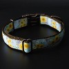 Country Brook Petz Signature Dog Collar Collection - 4 of 4