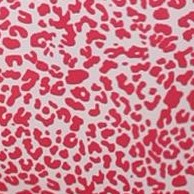leopard rose red