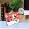 Willow Creek Press 5.5"x6.5" 2026 Corgis Box Calendar - 3 of 4