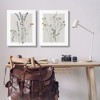 Stupell Industries Delicate Wildflower Herb Sprigs 2pc Canvas Art Set - 2 of 4