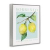 Stupell Industries Sorrento Lemon Branch Framed Giclee Art - 2 of 4