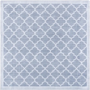 Arizona ARZ172 Machine Washable Skid Resistant Power Loomed Indoor Rugs - Safavieh - 1 of 4