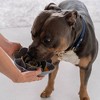 Dexypaws: Flower Slow Feeder - Grey - Dog & Pet Mealtime Accessory For 8" bowls - 3 of 4