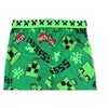 Minecraft Little/Big Boy's Lounge Pajama Pants - 2 of 2