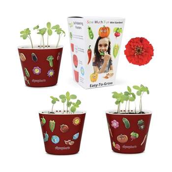 Window Garden Vegetable Planting and Growing Kit for Kids, 3 Self Watering Planters, Soil, Seeds and Puffy Stickers, Zinia