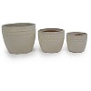Vynxaria Modern Ceramic Flowerpot - Elegant Planter for Indoor & Outdoor Use - 3 of 4