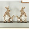 HomeRoots Set Of Two 7" Brown and White Polyresin Rabbit Figurine - 2 of 4
