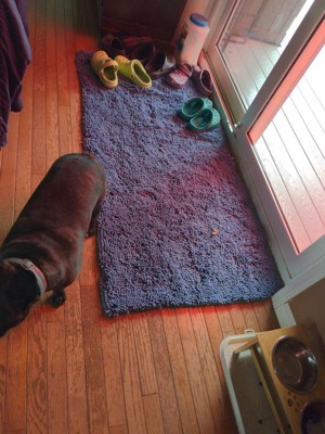 Furhaven Muddy Paws Towel And Shammy Rug Dog Mat : Target