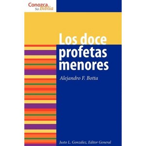 Los Doce Profetas Menores - by  Alejandro F Botta (Paperback) - 1 of 1
