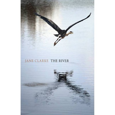 The River - by  Jane Clarke (Paperback)