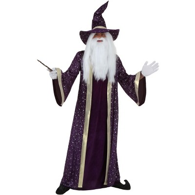 Halloweencostumes.com Fun Costumes Adult Purple Wizard Costume : Target