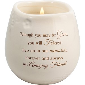 Pavilion Gift Company - Amazing Friend - 8 oz - 100% Soy Wax Candle Scent: Tranquility - Flame Candles - 1 of 4
