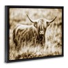 Stupell Industries Vintage Cow In Pasture Floating Frame Canvas Art, Black, 21" x 17" - 2 of 4