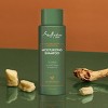 SheaMoisture Men Moisturizing Shampoo - Raw Shea Butter & Mafura Oil - 15 fl oz - image 4 of 4