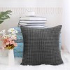 PiccoCasa Home Bedroom Comfortable Soft Velvet Throw Pillow Cover - 4 of 4
