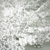 72"L Sullivans Artificial Frosted Juniper Berry Christmas Garland, White, Indoor Christmas Decor - 2 of 4