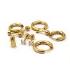 Set of 5 Screwback Earrings 18k Gold Plated: Hoops and Studs - 2 of 2
