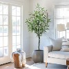 Whizmax Artificial Eucalyptus Tree Tall, Thick Stem and Realistic Leaves, Suitable for Indoor and Outdoor, Ideal Decoration for Home Office - 2 of 4