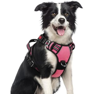 rabbitgoo Dog Harness Medium Sized, No Pull Dog Vest with 3 Buckles, Adjustable Soft Padded Pet Harness with  Strips, Pink, M - 1 of 1