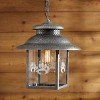 Park Designs Wild Woods Bear Pendant Lamp - 2 of 3