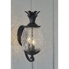 Acclaim Lighting Lanai 3 - Light Wall Light in  Matte Black - 3 of 4