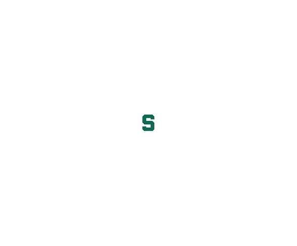 NCAA Michigan State Spartans Necktie