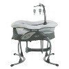 Graco DuoGlider Gliding Swing - Bellevue - 3 of 4