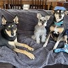 Kritter Planet Queen Size Waterproof Pets Blanket for Dogs Cats, Reversible Protector for Couch Furniture, Washable, Hair Resistant, Stain Proof - 3 of 4
