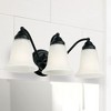 Capital Lighting Brady 3 - Light Vanity in  Matte Black - 3 of 4