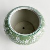 Plum & Post Imperial Lotus Planter Small - Green & White Chinoiserie - 3 of 4