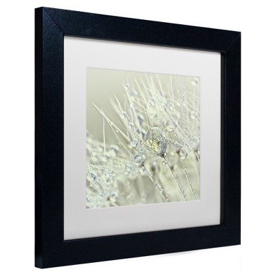 Trademark Fine Art -Cora Niele 'Dandelion Dew III' Matted Framed Art