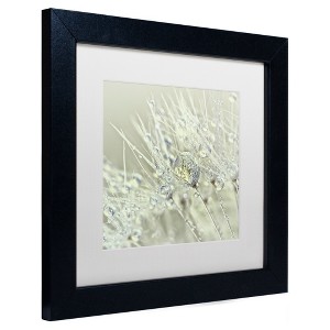 Trademark Fine Art -Cora Niele 'Dandelion Dew III' Matted Framed Art - 1 of 4