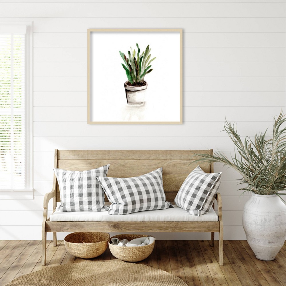 Photos - Other Decoration Amanti Art 33"x33" Potted Botanicals III by Marcy Chapman Wood Framed Wall Art Print