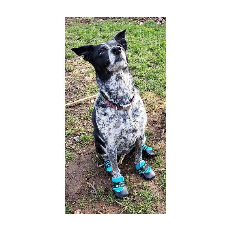Healers Urban Walker Dog Boots - Teal, 5 of 11