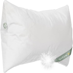 East Coast Bedding Elite European Down Dream Firm Pillow 800 Fill Power Pack of 1 - 1 of 4