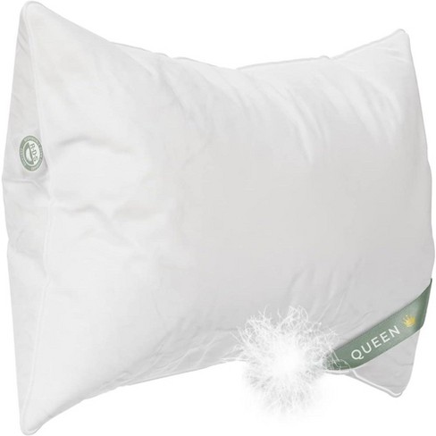 East Coast Bedding Elite European Down Dream Firm Pillow 800 Fill Power Pack of 1 - image 1 of 4