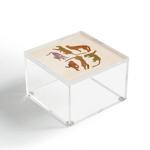 Iveta Abolina Adria Cheetahs 4" x 4" Acrylic Box - Deny Designs - 1 of 4