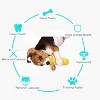 Dog Chew Toys  Tough Durable Squeaky Interactive Dog Toys, Puppy Teeth Chew Corn Stick Toy For Small Large Breed - 3 of 4