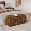 Acekool Decorative Storage Bench, Dual-Use Entryway Chest with Safety Hinge - 3 of 4