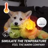 Pups- Dog Toys - Puppy Soothing Heartbeat Warm Bear Comfort Dog Sleep Aid Plush Toy - Pacifier Buddy - Green - 4 of 4