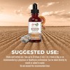 MaryRuth's Mushroom Complex Drops, Org, 1 oz - 3 of 4