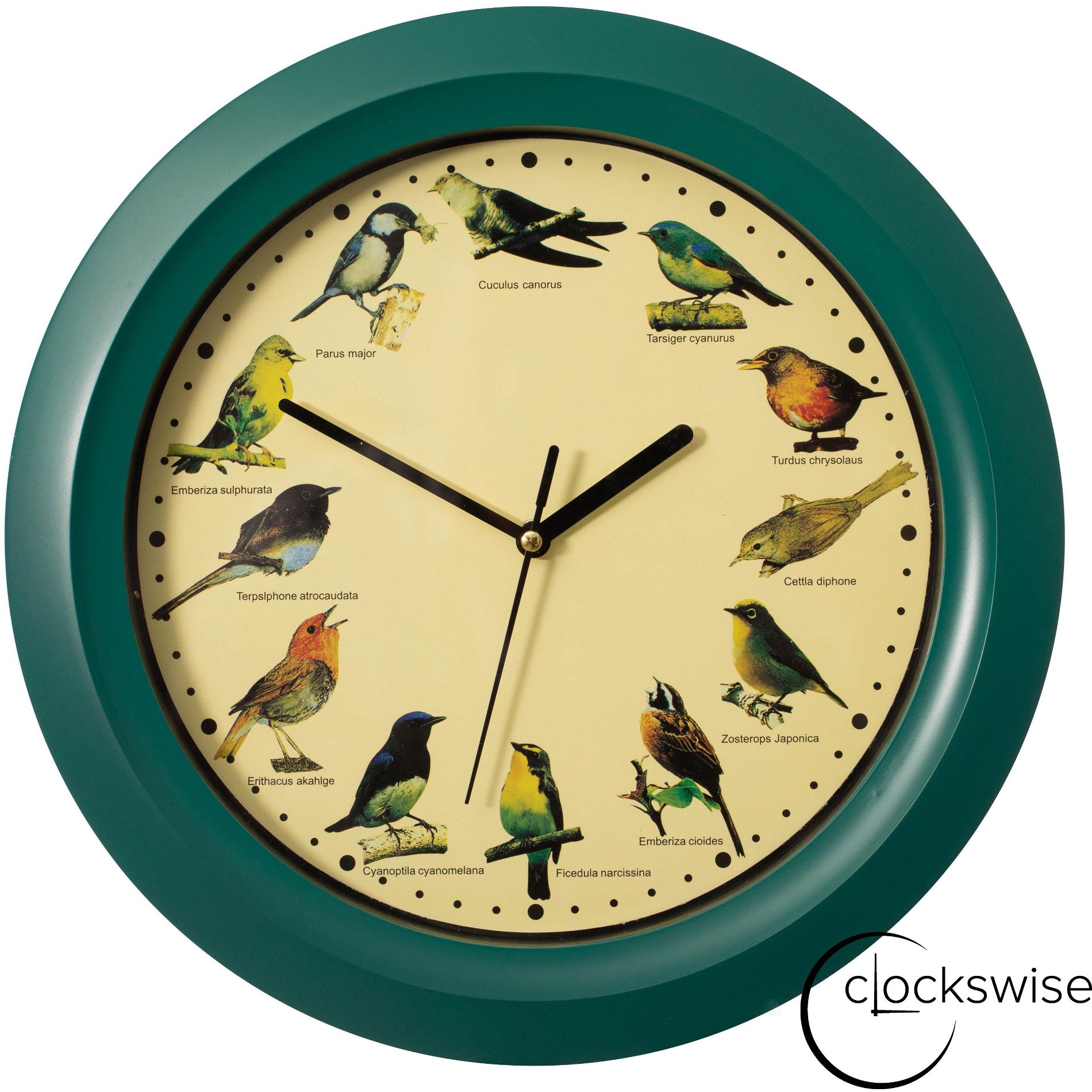 Clockswise 12" Round Decorative Singing Bird Wall Clock Battery-Operated with Wild Nature Sounds Hourly Chime