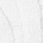 dark gray/white