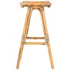 Leda Rattan Bar Stool  - Safavieh - image 4 of 4