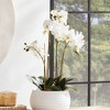 Plum & Post Phalaenopsis Orchid Faux (Fake) Bowl Drop-In 25" - 4 of 4