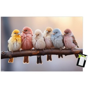 Trends International Reinders: Animals - Pastel Birds Unframed Wall Poster Print White Mounts Bundle 22.375" x 34" - 1 of 4