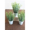 Artificial Herbs in Cement Pots – 13"H Decorative Greenery Accents, Set of Three by Kalalou - 2 of 3