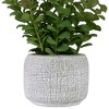 Northlight Real Touch™ Artificial  Privet Plant in Gray Stone Pot - 12" - 4 of 4